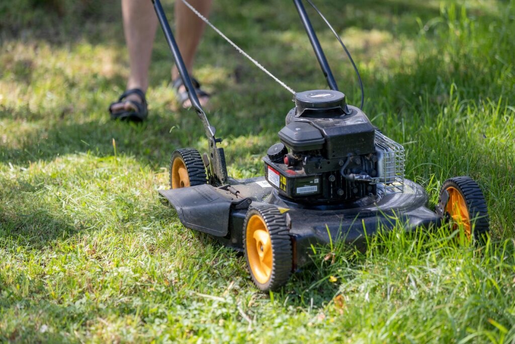 best gardening tools Canada 2026