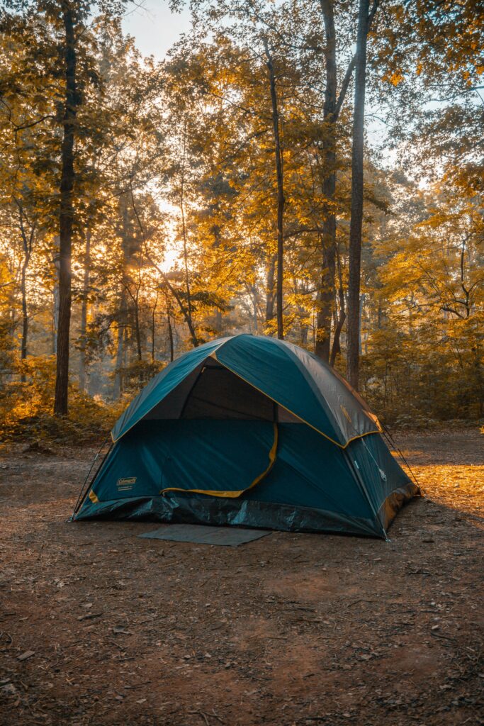 Best Camping Gear